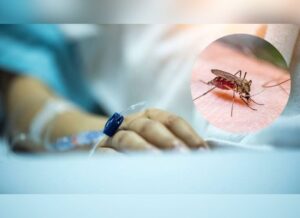 Chandipura Virus: India steps up surveillance as cases reported in Gujarat and Rajasthan