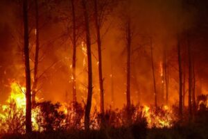 Macron pledges full support as France battles record Wildfires