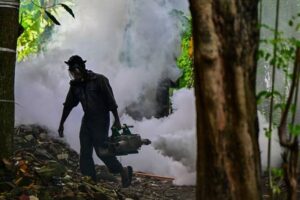 Sri Lanka reports more than 80,000 Dengue cases this year