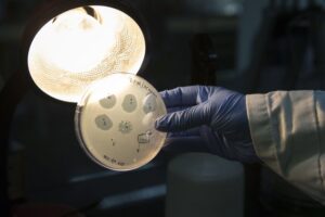 AI creates 16 new viruses in scientific breakthrough, raising safety concerns