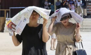 South Korea heatwave death toll rises as extreme temperatures grip country